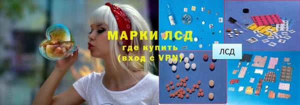 сатива Абаза