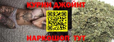 стафф Гатчина