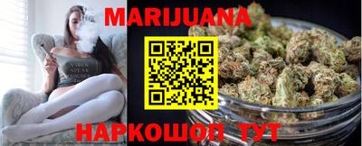 стафф Гатчина