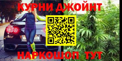стафф Гатчина