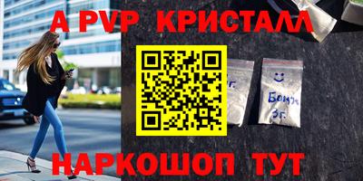 стафф Гатчина