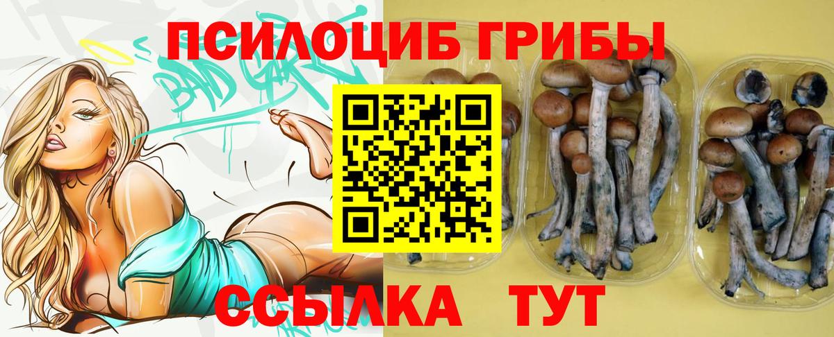 Псилоцибиновые грибы Cubensis Прокопьевск