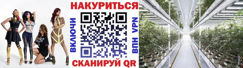 Бошки Шишки MAZAR купить закладку Прокопьевск